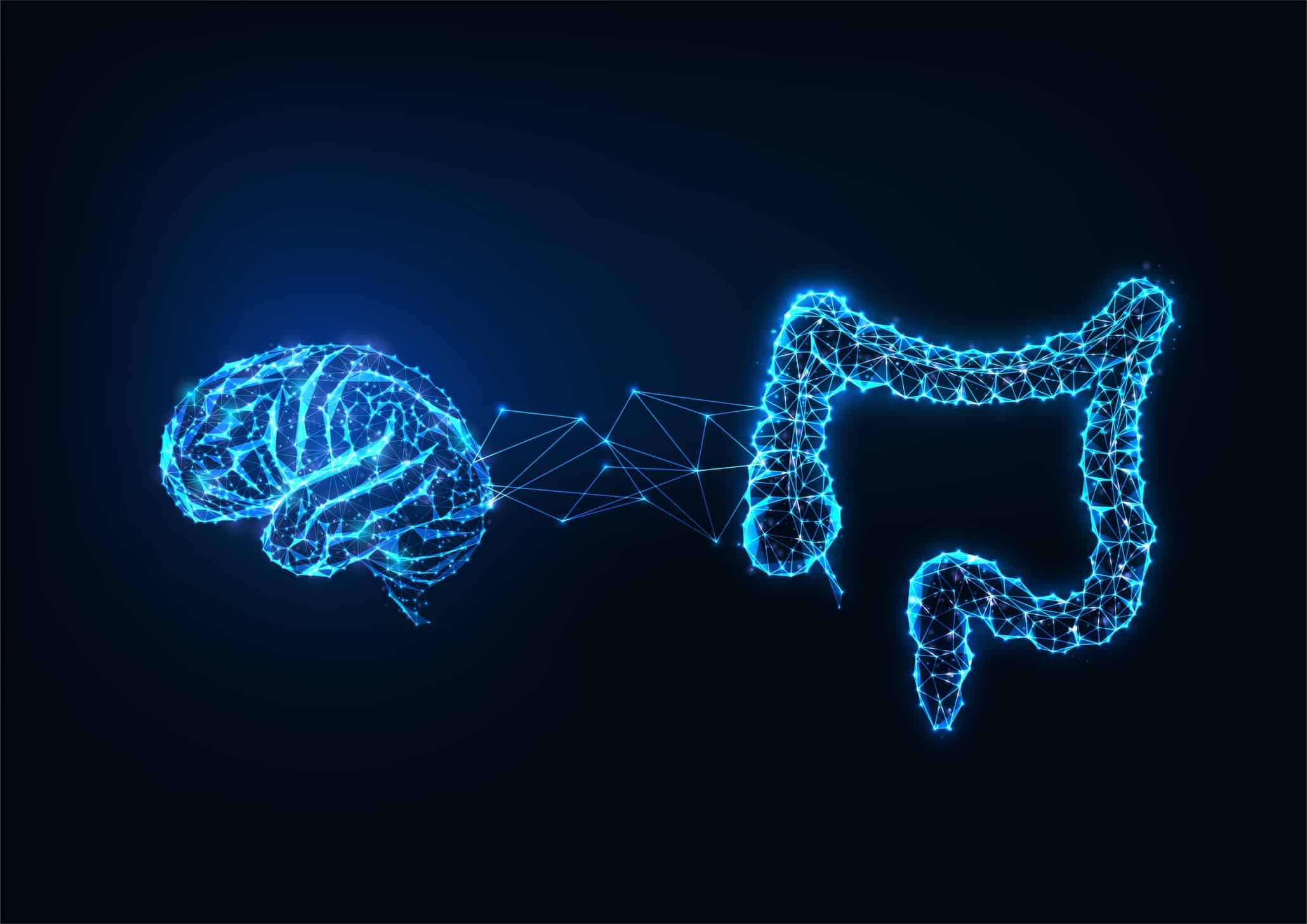 The Gut-Brain Connection: How Your Digestive Health Affects Your Mood